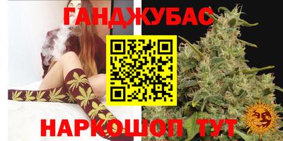 стаф Малгобек