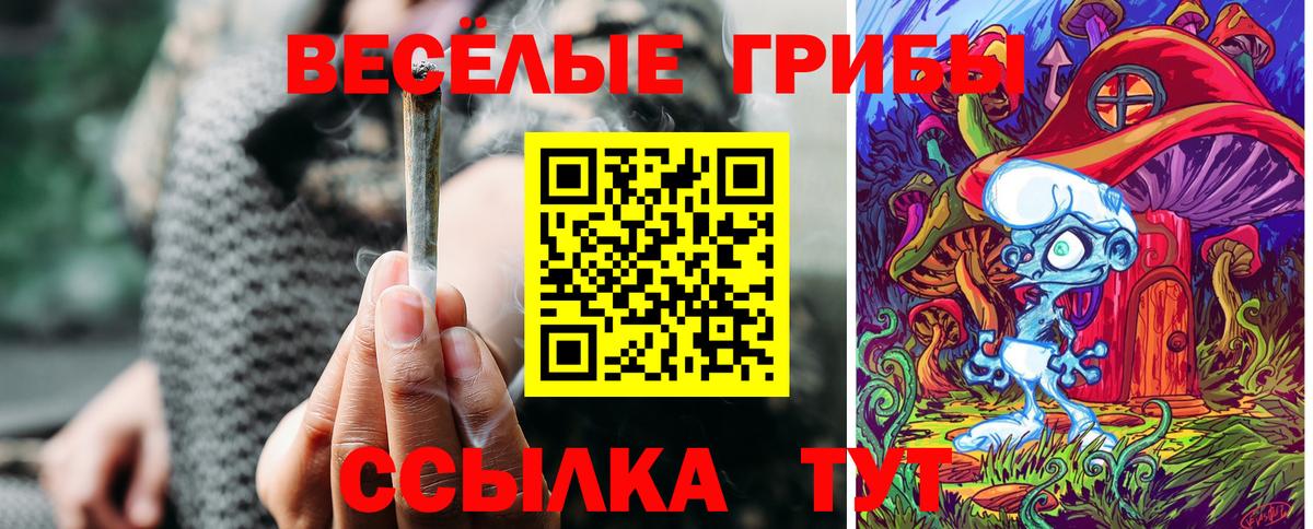 Усть-Илимск  Псилоцибиновые грибы MAGIC MUSHROOMS  Вход с VPN  Псилоцибиновые грибы Cubensis 